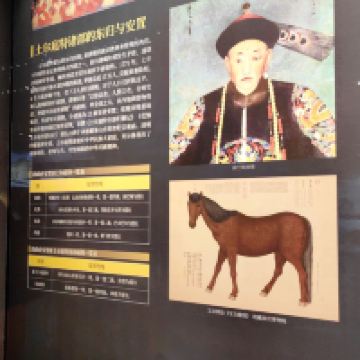 評論圖片 1