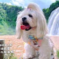 評論圖片 2