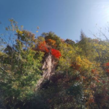 評論圖片 8