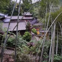 評論圖片 8