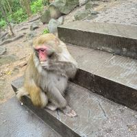 評論圖片 3