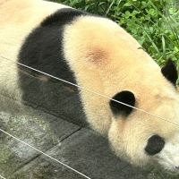 評論圖片 6