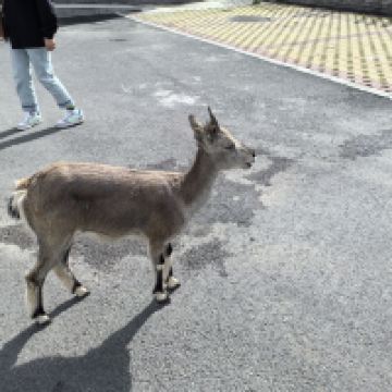 評論圖片 1