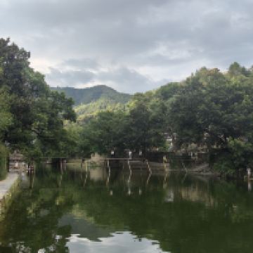 評論圖片 5