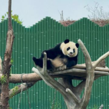 評論圖片 7