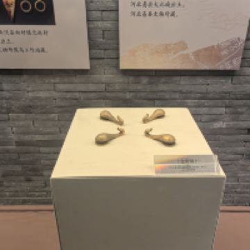 評論圖片 2