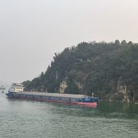 評論圖片 6