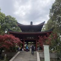 評論圖片 4