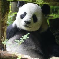 評論圖片 2