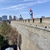 評論圖片 8