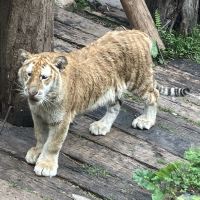 評論圖片 8