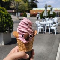 評論圖片 7