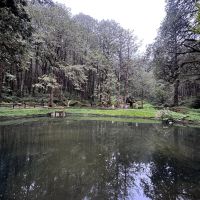評論圖片 1