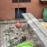 評論圖片 5