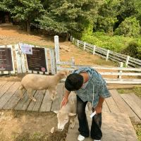 評論圖片 1