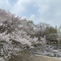 評論圖片 3