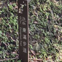 評論圖片 4