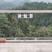 評論圖片 6