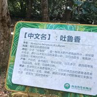評論圖片 2