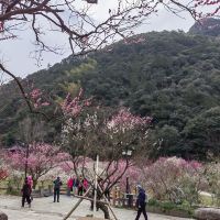 評論圖片 8