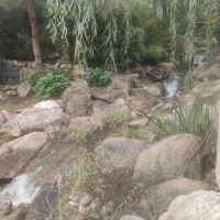評論圖片 3