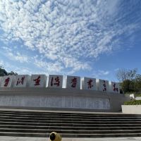 評論圖片 2