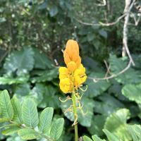 評論圖片 6