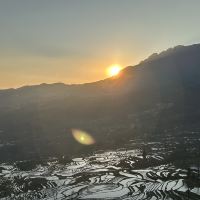 評論圖片 8