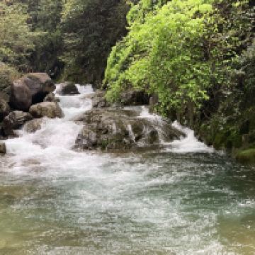 評論圖片 6