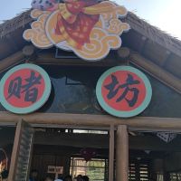 評論圖片 7