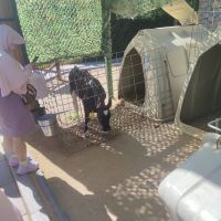 評論圖片 1