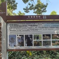 評論圖片 9