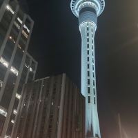 評論圖片 8