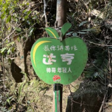 評論圖片 3