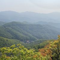 評論圖片 4