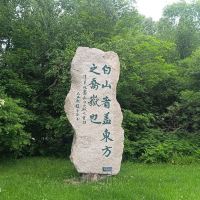 評論圖片 2