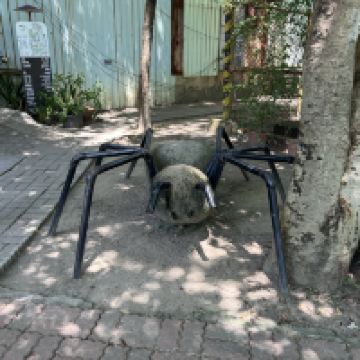評論圖片 7