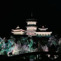評論圖片 2