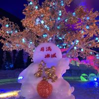 評論圖片 4