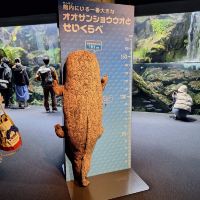 評論圖片 8