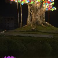 評論圖片 5