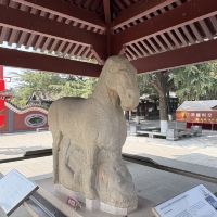 評論圖片 6