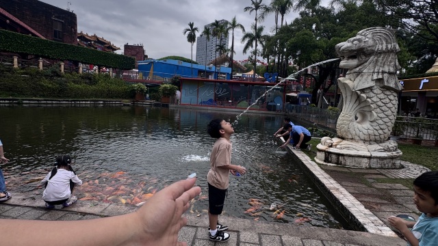 review picture