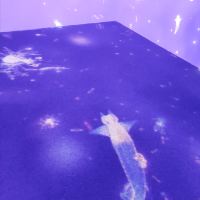 評論圖片 5