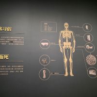 評論圖片 2