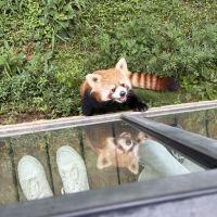 評論圖片 4