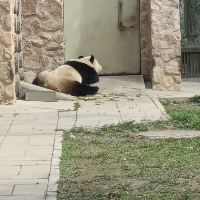 評論圖片 2