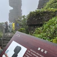 評論圖片 9