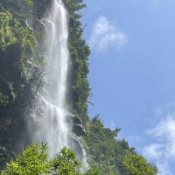 評論圖片 7