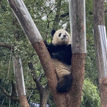 評論圖片 2